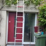Sterke klimplanten op de muren